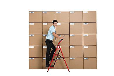 动作冒险游戏《Song of Iron》8月31日上架Steam  支持中文